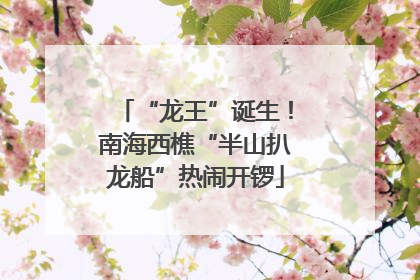 “龙王”诞生！南海西樵“半山扒龙船”热闹开锣