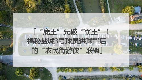 “鹿王”先破“霸王”！揭秘盐城3号球员进球背后的“农民街游侠”联盟