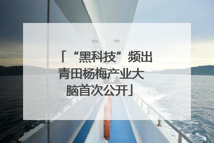 “黑科技”频出 青田杨梅产业大脑首次公开