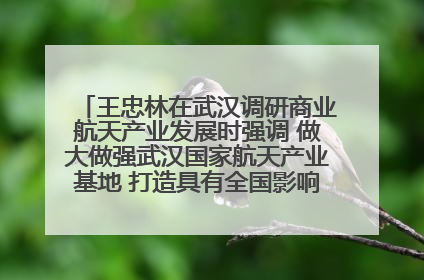王忠林在武汉调研商业航天产业发展时强调 做大做强武汉国家航天产业基地 打造具有全国影响力的“中国星谷”
