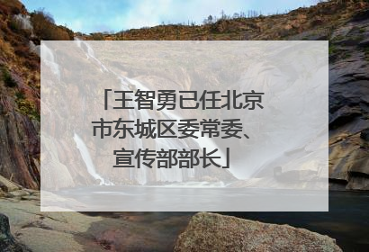 王智勇已任北京市东城区委常委、宣传部部长