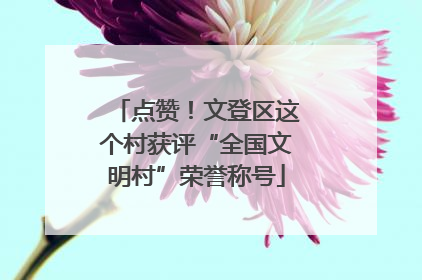点赞！文登区这个村获评“全国文明村”荣誉称号