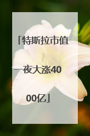 特斯拉市值一夜大涨4000亿