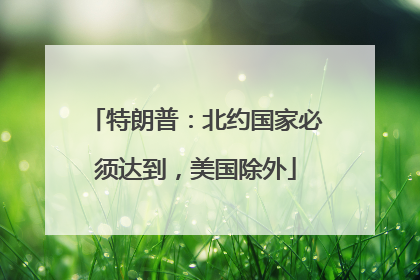 特朗普：北约国家必须达到，美国除外