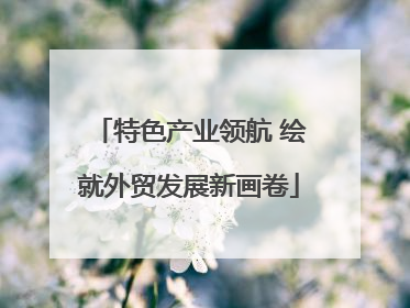特色产业领航 绘就外贸发展新画卷