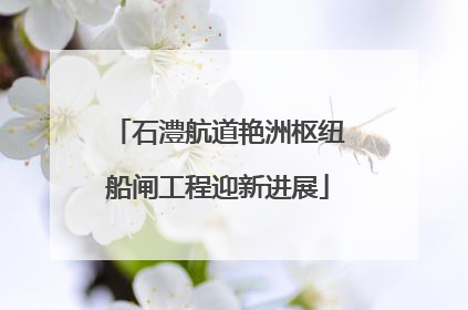 石澧航道艳洲枢纽船闸工程迎新进展