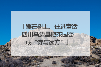 睡在树上、住进童话 四川马边县把茶园变成“诗与远方”