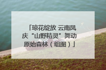 琼花绽放 云南凤庆“山野精灵”舞动原始森林（组图）