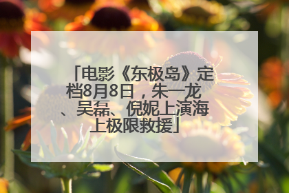 电影《东极岛》定档8月8日，朱一龙、吴磊、倪妮上演海上极限救援