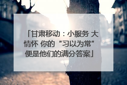 甘肃移动：小服务 大情怀 你的“习以为常”便是他们的满分答案