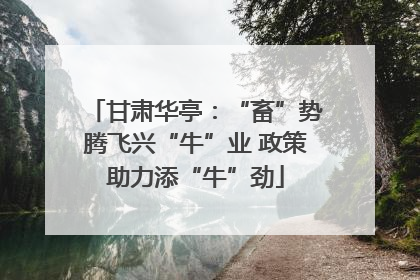 甘肃华亭：“畜”势腾飞兴“牛”业 政策助力添“牛”劲
