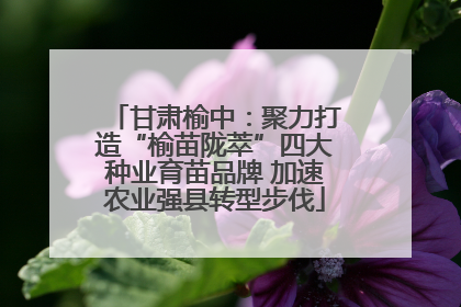 甘肃榆中：聚力打造“榆苗陇萃”四大种业育苗品牌 加速农业强县转型步伐