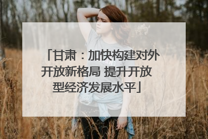 甘肃：加快构建对外开放新格局 提升开放型经济发展水平