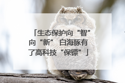 生态保护向“智”向“新” 白海豚有了高科技“保镖”