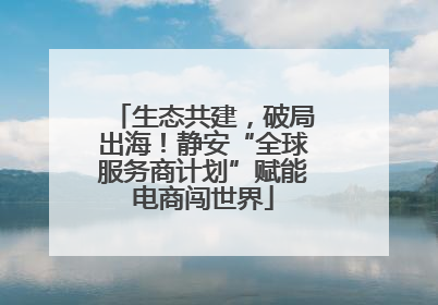 生态共建，破局出海！静安“全球服务商计划”赋能电商闯世界