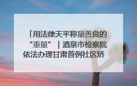 用法律天平称量善良的“重量”｜酒泉市检察院依法办理甘肃首例社区矫正对象见义勇为减刑案