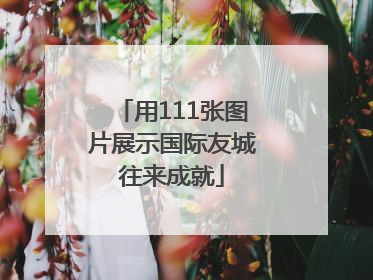 用111张图片展示国际友城往来成就