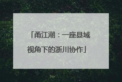 甬江潮：一座县域视角下的浙川协作