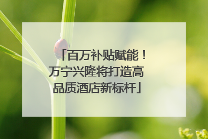 百万补贴赋能！万宁兴隆将打造高品质酒店新标杆