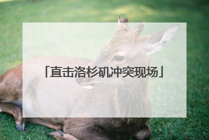 直击洛杉矶冲突现场