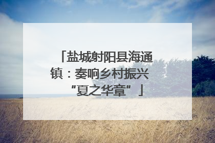盐城射阳县海通镇：奏响乡村振兴“夏之华章”