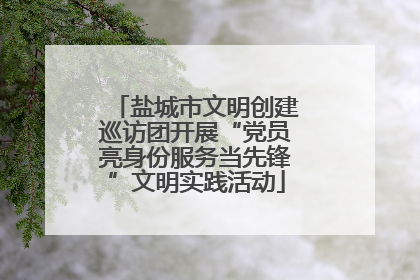 盐城市文明创建巡访团开展“党员亮身份服务当先锋”文明实践活动