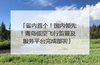 省内首个！国内领先！青岛低空飞行监管及服务平台完成部署