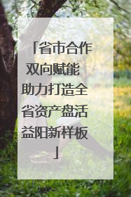 省市合作双向赋能 助力打造全省资产盘活益阳新样板