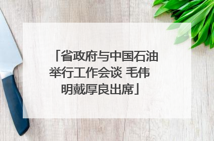 省政府与中国石油举行工作会谈 毛伟明戴厚良出席
