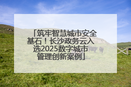 筑牢智慧城市安全基石！长沙政务云入选2025数字城市管理创新案例