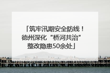 筑牢汛期安全防线！德州深化“桥河共治”整改隐患50余处