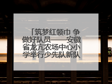 筑梦红领巾 争做好队员——安徽省龙亢农场中心小学举行少先队新队员入队仪式