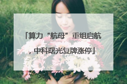算力“航母”重组启航，中科曙光复牌涨停