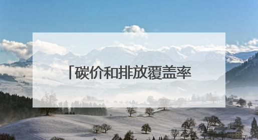 碳价和排放覆盖率双升 全球碳定价收入超千亿美元