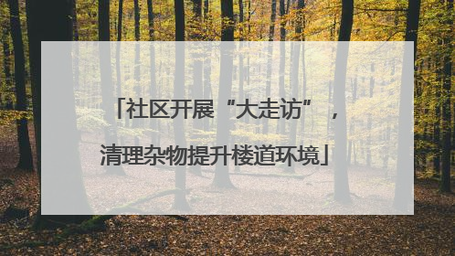 社区开展“大走访”，清理杂物提升楼道环境