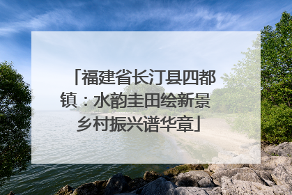 福建省长汀县四都镇：水韵圭田绘新景 乡村振兴谱华章