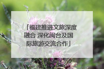 福建推进文旅深度融合 深化闽台及国际旅游交流合作