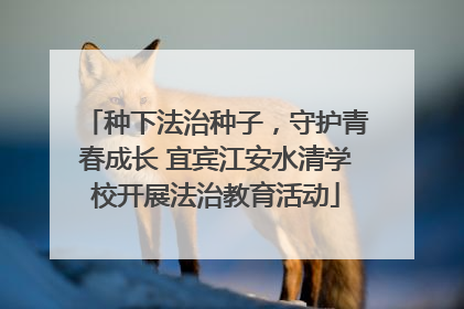 种下法治种子，守护青春成长 宜宾江安水清学校开展法治教育活动