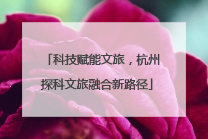 科技赋能文旅，杭州探科文旅融合新路径