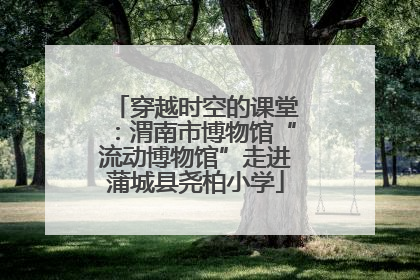 穿越时空的课堂：渭南市博物馆“流动博物馆”走进蒲城县尧柏小学