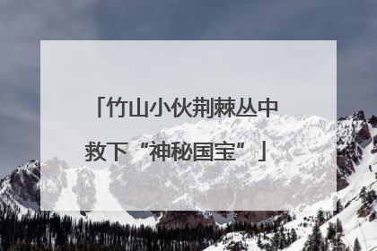 竹山小伙荆棘丛中救下“神秘国宝”