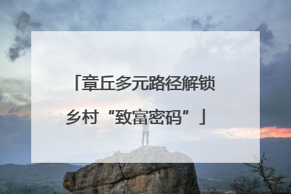章丘多元路径解锁乡村“致富密码”