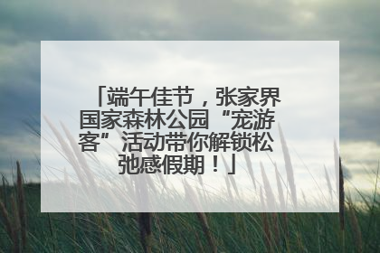 端午佳节，张家界国家森林公园“宠游客”活动带你解锁松弛感假期！