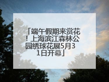 端午假期来赏花！上海滨江森林公园绣球花展5月31日开幕
