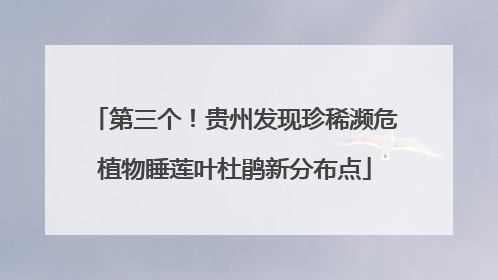 第三个！贵州发现珍稀濒危植物睡莲叶杜鹃新分布点