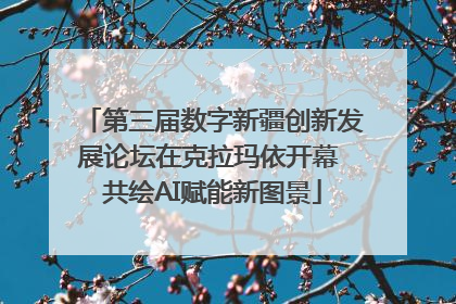 第三届数字新疆创新发展论坛在克拉玛依开幕 共绘AI赋能新图景