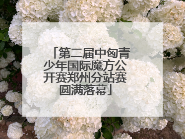 第二届中匈青少年国际魔方公开赛郑州分站赛圆满落幕