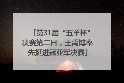第31届“五羊杯”决赛第二日，王禹博率先挺进冠亚军决赛