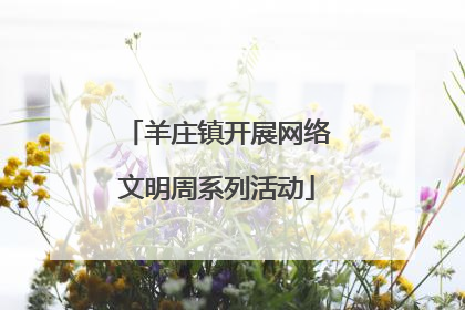 羊庄镇开展网络文明周系列活动