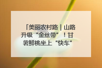美丽农村路｜山路升级“金丝带”！甘薯鲜桃坐上“快车”，开去大市场